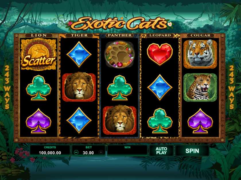 Exotic Cats 