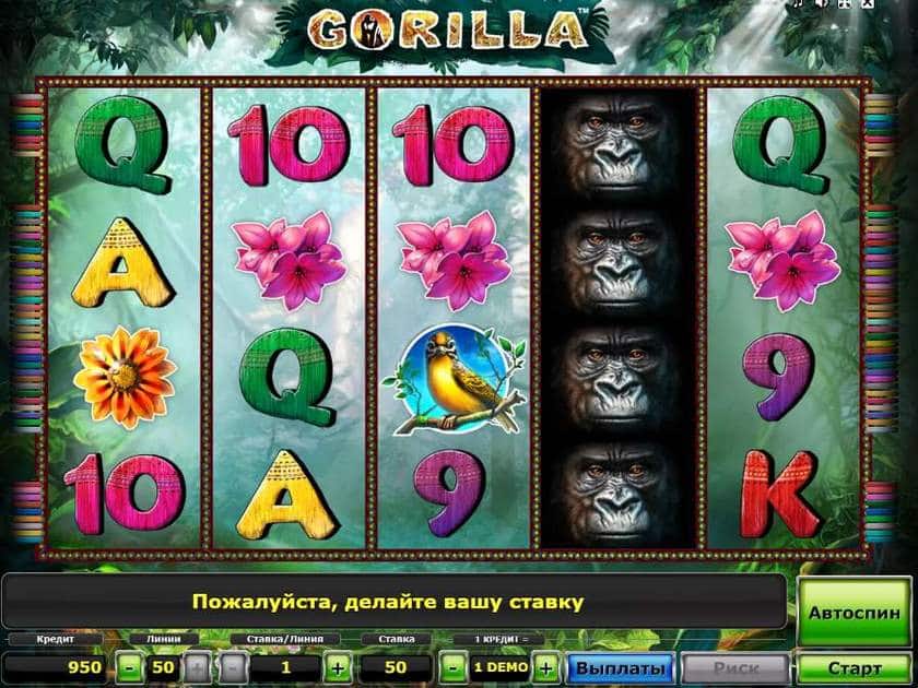 Gorilla