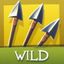Дикий символ игрового автомата Robin of Sherwood